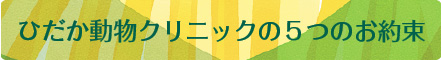 ひだか動物クリニックの５つのお約束